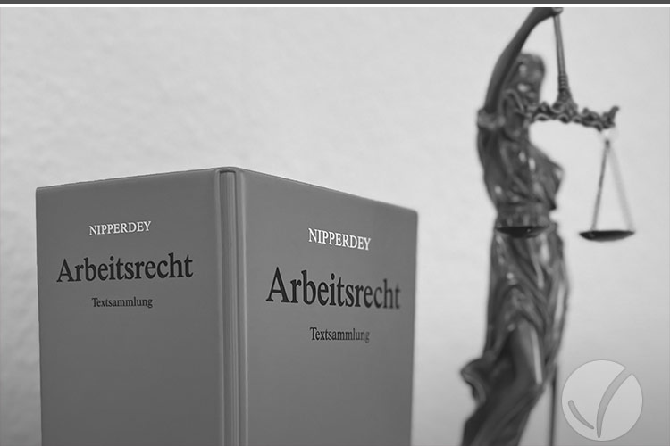 Rechtsberatung Anwalt Celle: Schwerpunkt Arbeitsrecht